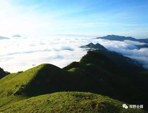 湖北大顶山旅游,湖北大顶山旅游景点大全