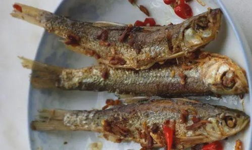 湖北美食长江鱼是什么鱼,湖北美食长江鱼是什么鱼图片