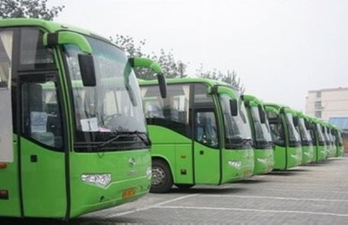 湖北俊旅游巴士,湖北旅游客运电话