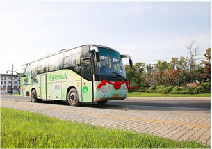 湖北俊旅游巴士,湖北旅游客运电话