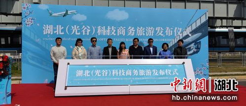 湖北长通旅游公司,长通集团