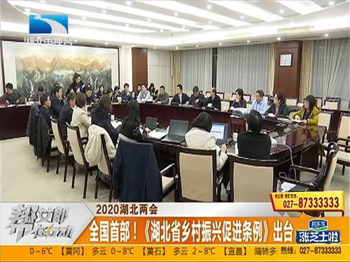 湖北发布振兴旅游,湖北将出台乡村振兴促进条例