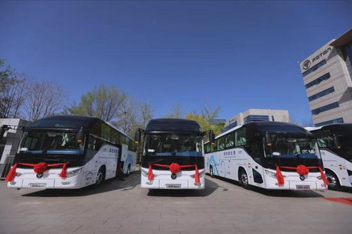 湖北旅游客运报名,湖北旅运汽车服务有限公司