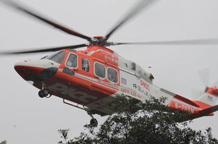 湖北省内直升机旅游景点,湖北哪里有直升机体验的