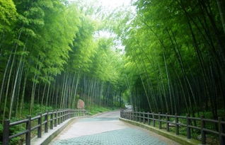 湖北到竹海旅游攻略,湖北到竹海旅游攻略路线图