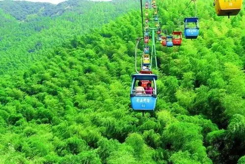 湖北到竹海旅游攻略,湖北到竹海旅游攻略路线图