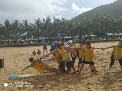 湖北旅游拓展训练培训,湖北旅游拓展批发价