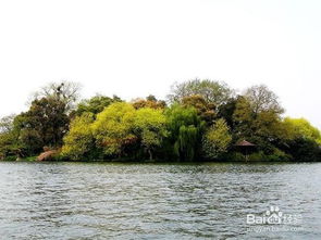 湖北红枫旅游,红枫湖旅游景点