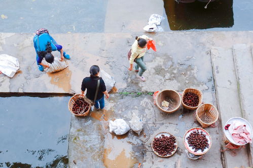 四川美食多还是湖北美食多,四川的美食城市