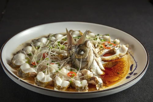 湖北旅游美食文化,湖北的美食文化