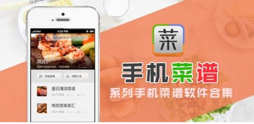 湖北美食视频软件手机下载,湖北美食视频软件手机下载安装