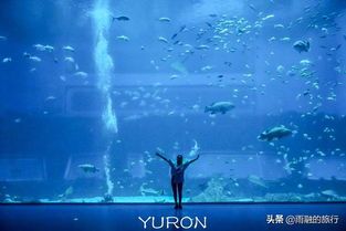 海洋公园湖北旅游,湖北海洋馆门票多少钱