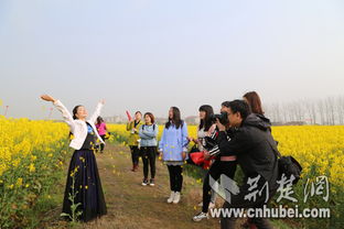 湖北琳子旅游,american put more people in prison in the