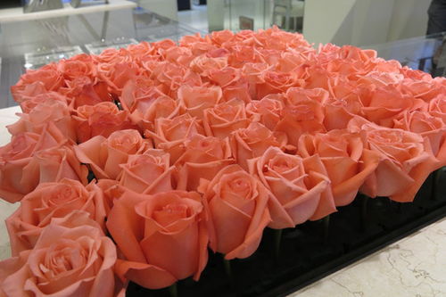 玫瑰湖北美食视频,武汉的玫瑰花