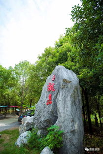 湖北嘉鱼旅游开发,湖北嘉鱼风景区