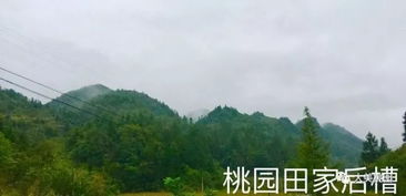 aa湖北恩施利川旅游,恩施利川旅游景点