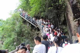 aa湖北恩施利川旅游,恩施利川旅游景点