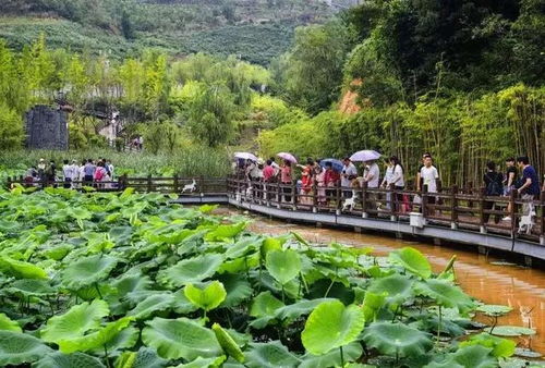 湖北到长沙旅游攻略,湖北到湖南长沙要几个小时