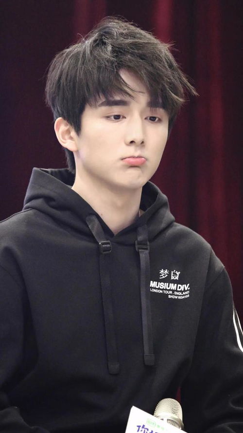 张新成湖北美食,张新成 武汉