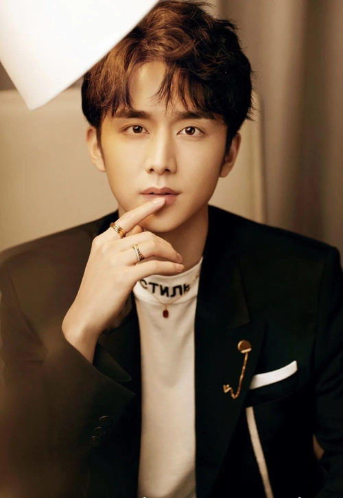 张新成湖北美食,张新成 武汉