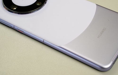 华为mate60与nova12,华为mate60与nova12pro