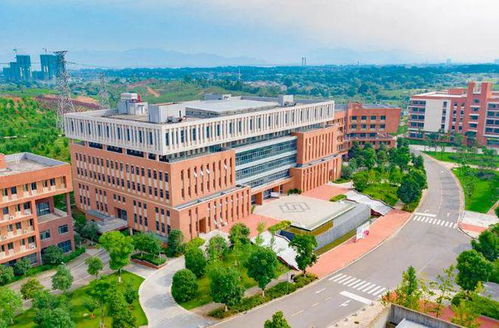 湖北省旅游专业有哪些学校,湖北省旅游专业有什么好学校