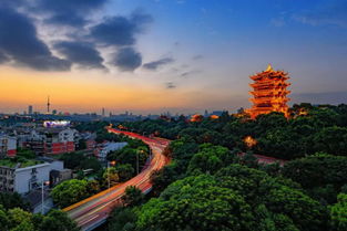 湖北武汉端午旅游,武汉端午节去哪里玩