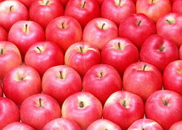 苹果13湖北美食图片,苹果13湖北美食图片大全