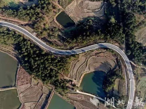 湖北安陆旅游景点大全,湖北安陆旅游景点大全图片