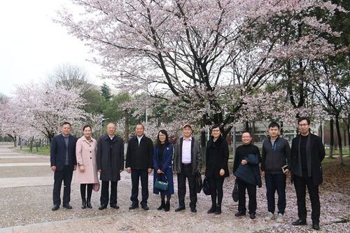 湖北那些高校旅游专业较好,湖北旅游学校有什么专业 湖北那些高校旅游专业较好,湖北旅游学校有什么专业
