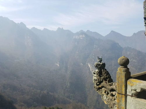 湖北武当旅游集团,武当山旅游公司董事长