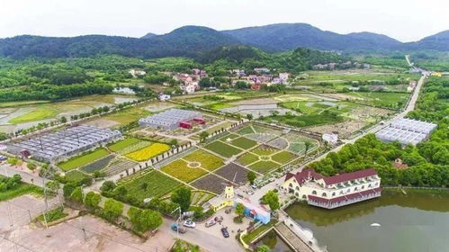 湖北省乡村旅游农业旅游,湖北省乡村旅游农业旅游发展现状