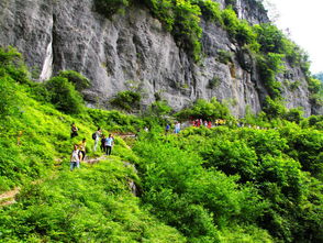 湖北利川景点旅游,湖北利川旅游攻略 湖北利川景点旅游,湖北利川旅游攻略