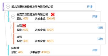 湖北旅游投资集团上市,湖北旅游投资集团上市公司