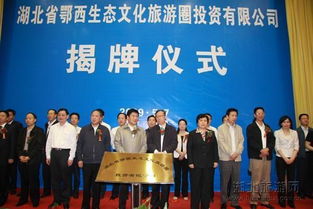 湖北旅游投资集团上市,湖北旅游投资集团上市公司