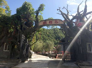 湖北清明节旅游好去处,清明节武汉旅游