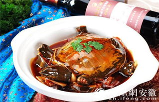 湖北旅游直播苗苗,梦见把鳖打死 湖北旅游直播苗苗,梦见把鳖打死