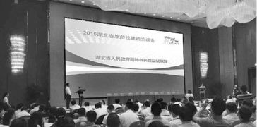 湖北旅游开发投资,湖北旅游发展投资有限公司