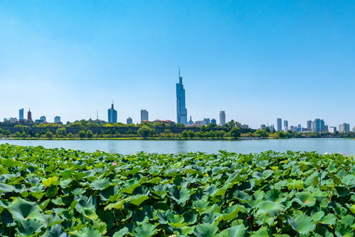 湖北夏天旅游旅游攻略,湖北夏天好玩的地方