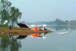 湖北垂钓旅游好地方,湖北钓鱼吧