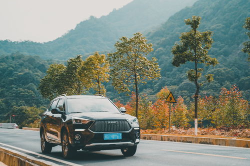 湖北哪个城市适合开车旅游,湖北开车自驾游