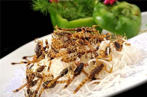 湖北美食烤蜈蚣,烤蜈蚣蝎子图片