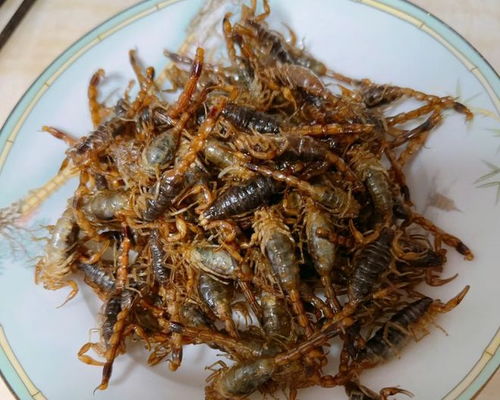 湖北美食烤蜈蚣,烤蜈蚣蝎子图片