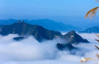 湖北利川旅游预约,利川旅游线路 湖北利川旅游预约,利川旅游线路