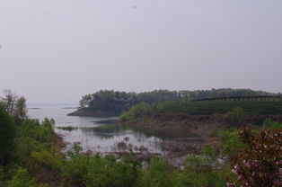 信阳湖北旅游攻略夏天,信阳周边湖北旅游景点