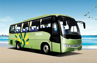 湖北湖南大巴旅游,湖南大巴网