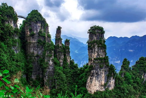 湖北带娃旅游群,湖北适合带娃去的旅游景点