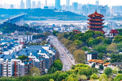 湖北不能旅游,湖北不能旅游的城市