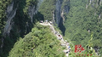 湘西人在湖北旅游,湘西人游湘西 湘西人在湖北旅游,湘西人游湘西
