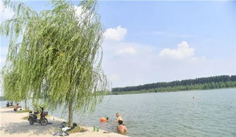 武汉江边湖北美食推荐理由,武汉江边吃饭